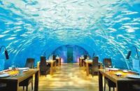 水下內閣會議 水下內閣會議