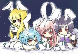 謝絲塔姐妹兵 謝絲塔姐妹兵