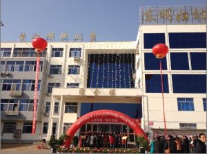 東明縣婦幼保健院 東明縣婦幼保健院