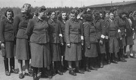 T-4護士組 T-4護士組