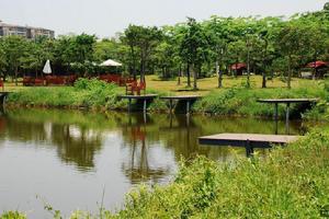 厚街豐泰觀山碧水