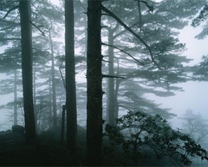 龍門山地質公園 龍門山地質公園