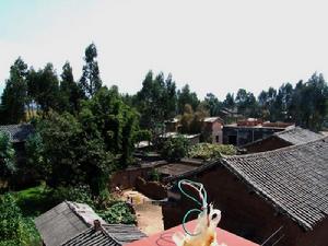 羅西坪村 羅西坪村