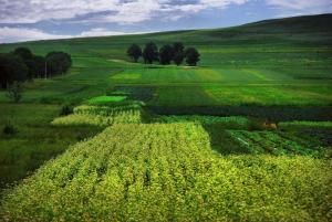 豐寧壩上 豐寧壩上