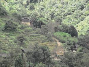 上哈尼伍自然村 上哈尼伍自然村