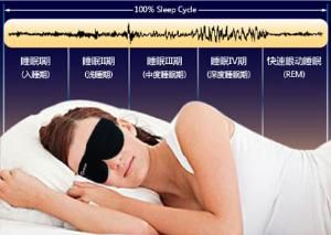 睡眠分期 睡眠分期