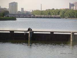 蒼源河公園 蒼源河公園