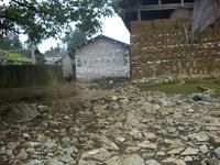 水塘坡村 水塘坡村