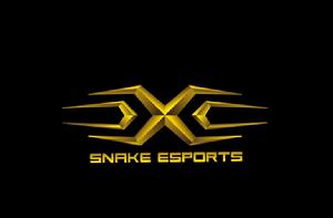 Snake電子競技俱樂部