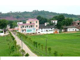 龍華鄉龍風村 龍華鄉龍風村