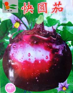 快圓茄 快圓茄