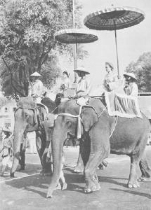 征氏姐妹 征氏姐妹