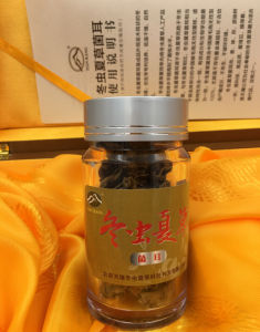 冬蟲夏草菌耳包裝