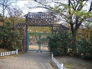 遺留下來的原孔雀園的後門