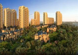 贊成樂山紅葉 贊成樂山紅葉