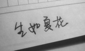 安之若素生如夏花 安之若素生如夏花