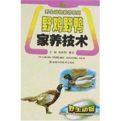 野雞野鴨家養技術 野雞野鴨家養技術