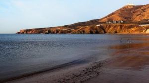 望海寺海濱 望海寺海濱