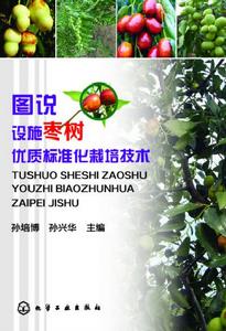 圖說設施棗樹優質標準化栽培技術 圖說設施棗樹優質標準化栽培技術
