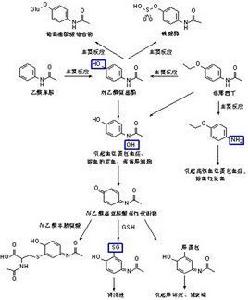 解熱鎮痛藥 解熱鎮痛藥