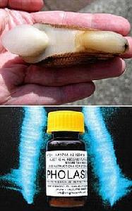 （圖）檢測健康