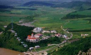 雙河林木自然保護區 雙河林木自然保護區