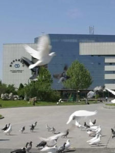 廊坊國際會展中心