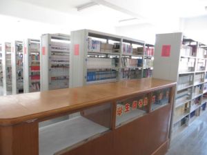 長島縣圖書館 長島縣圖書館