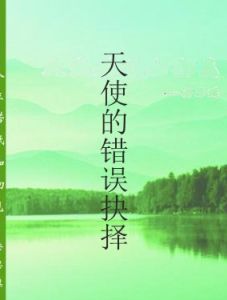 天使的錯誤抉擇 天使的錯誤抉擇