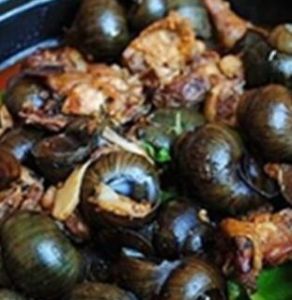 胡蘿蔔煲田螺 胡蘿蔔煲田螺