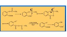 鄰助作用 鄰助作用