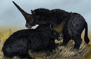 獨角獸[冰河時期形似犀牛的西伯利亞獨角獸]