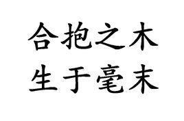 合抱之木，生於毫末