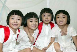 南京四小鳳 南京四小鳳