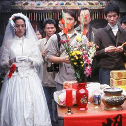 《鐵樹花開》 《鐵樹花開》