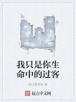 我只是你生命中的過客 我只是你生命中的過客