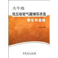 大牛地低壓緻密氣藏儲層發行理論與實踐 大牛地低壓緻密氣藏儲層發行理論與實踐