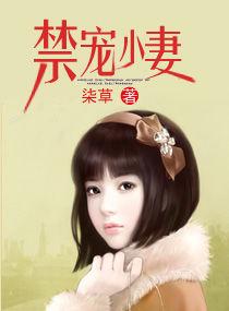 禁寵小妻 禁寵小妻