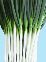 亞洲長星 亞洲長星