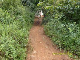 石板橋村[雲南尋甸縣功山鎮下轄村]