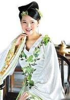 秦淮悲歌[2004年伊能靜主演電視劇]