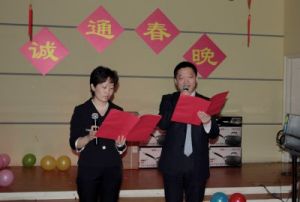 中國誠通控股集團有限公司