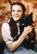 朱迪&middot;嘉蘭