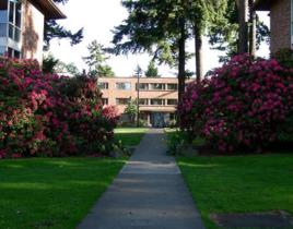 英語語言文化中心 英語語言文化中心