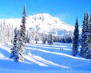 長白山冬訓中心