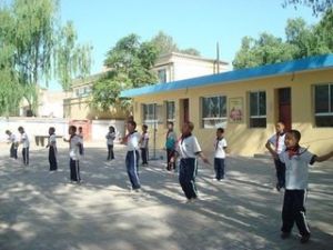 合黎運動 合黎運動