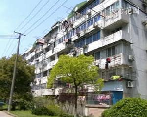 大唐花園 大唐花園