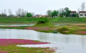 韓公渡鎮 韓公渡鎮