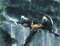 弄官生態公園 弄官生態公園