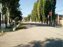 村容整潔 村容整潔